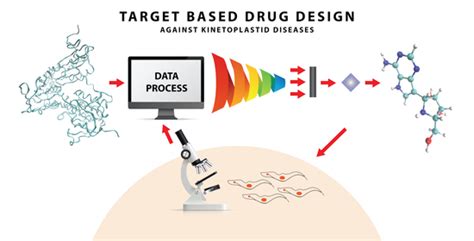 An Overview on Target-Based Drug Design against Kinetoplastid Protozoan ...
