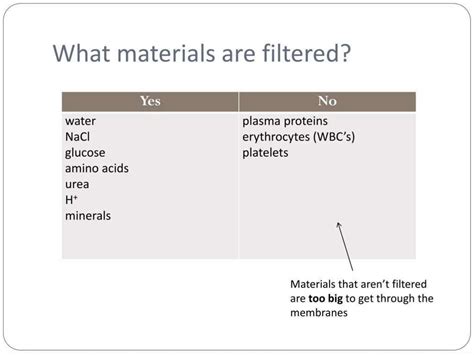 Urine-formation-ppt.pptx A powerpoint on the mechanism of urine production | PPTX