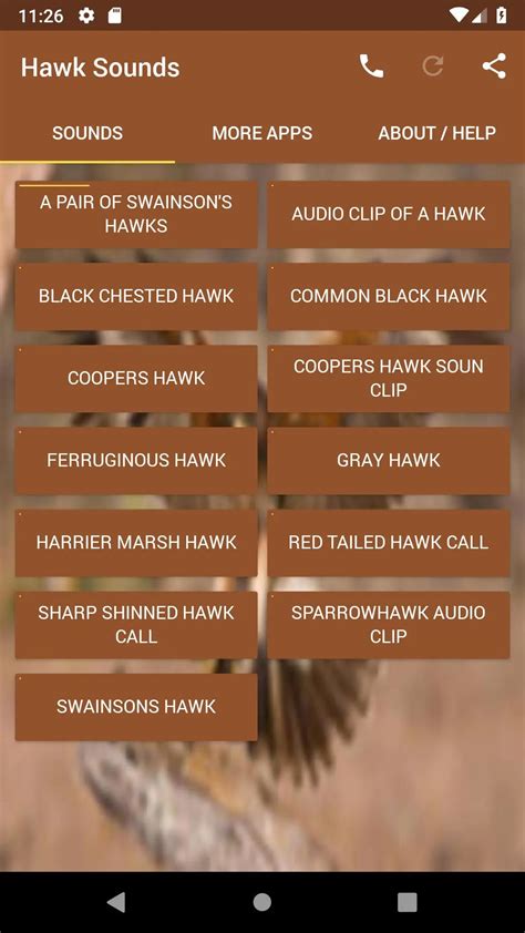 Image result for Hawk Predator Sounds