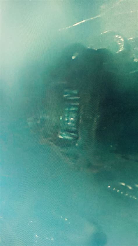 Image result for Alien Xenomorph Teeth