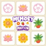 Image result for Adult Memory Matching Games