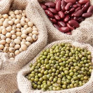 Cooking 的图像结果