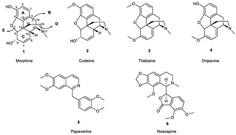 Image result for Additive Synthesis Tutorial Morphine