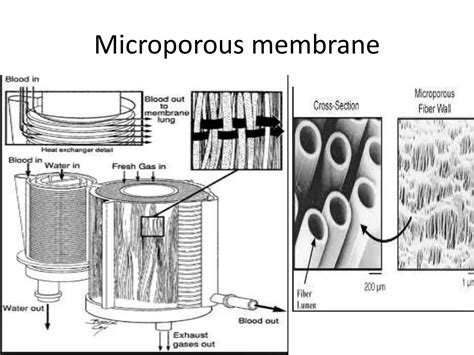 Image result for Oxygenator Function