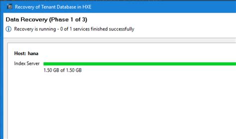 How to restore SAP HANA Database from Clone | Dell India