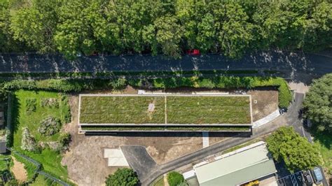 Image result for Spring Lane