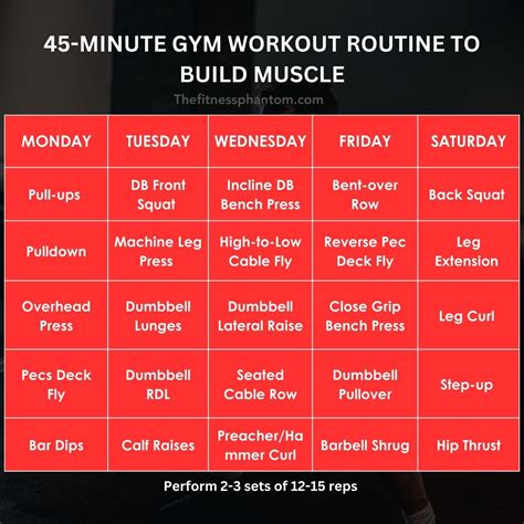 Image result for Workout Routine