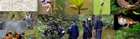 Home Page | Courses at Gubbi Labs