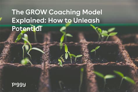Image result for A Coaching Conversation Using the Grow Model