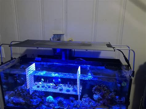 Image result for Using Maxspec Razer