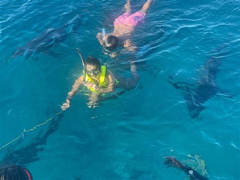 Neal Watson's Bimini Scuba Center (Alice Town) - All You Need to Know ...