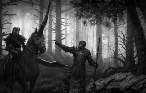 Wallpaper elf, unicorn, Disciples 3: Renaissance, the Inquisitor for ...