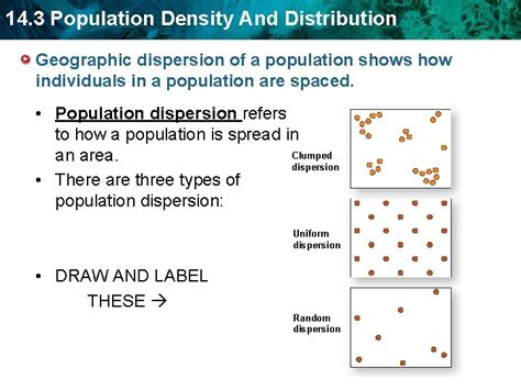 Population Density Distribution Model 的图像结果