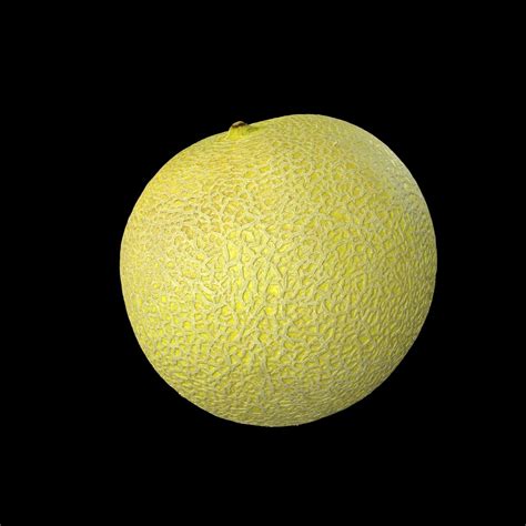 Melon 3D Model Beastar