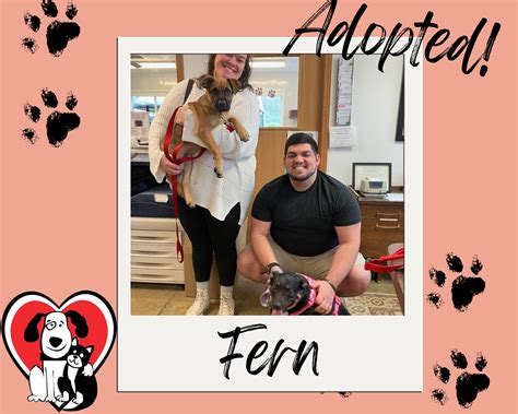 Four Footed Friends (@fourfootedfriends) • Instagram photos and videos