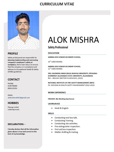 Image result for Resume Juniour Java Developer