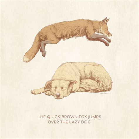 The Quick Brown Fox Jumps Over a Lazy Dog Illustration on Behance