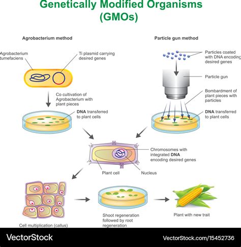 Genetic Modification 的图像结果