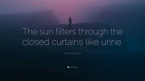Michael Gira Quote: “The sun filters through the closed curtains like ...