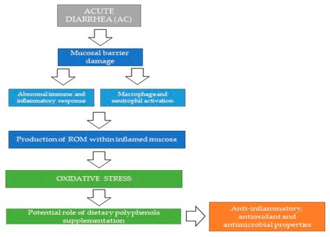 Acute Diarrhea in Dogs: Current Management and Potential Role of ...