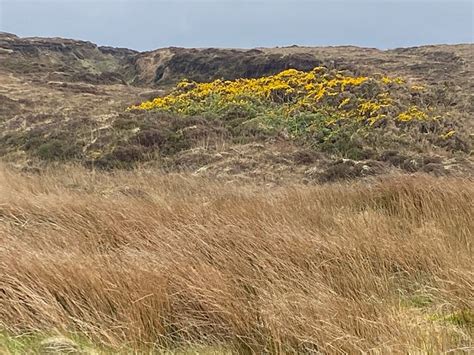 THE YELLOW ROSE B&B (Belderrig) - B&B Reviews, Photos, Rate Comparison ...