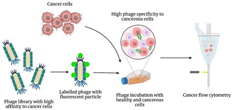 Biorecognition Engineering Technologies for Cancer Diagnosis: A ...