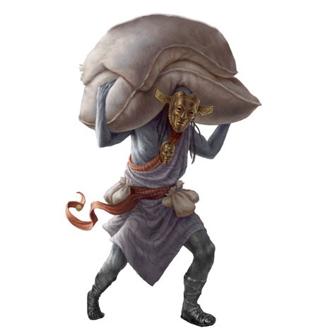 [Asset] Gray Merchant of Asphodel : r/MTCJtemplates