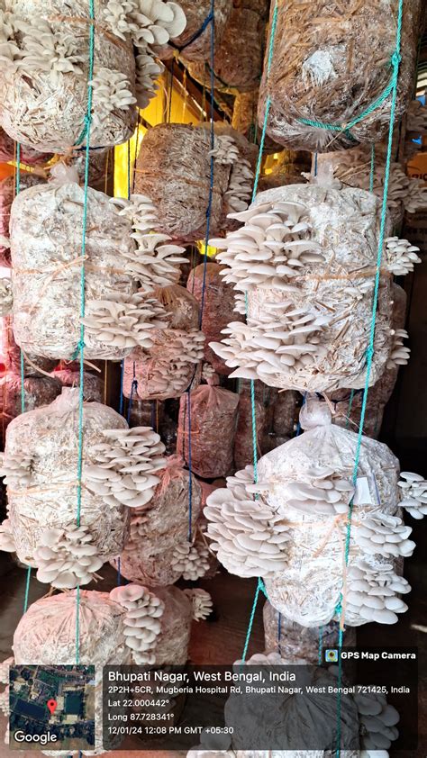 IIC - MGM (Institutuion's Innovation Council, Mugberia Gangadhar ...