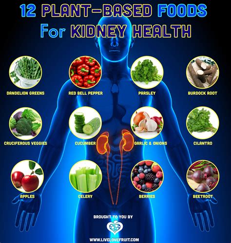 12 Plant-Based Foods To Improve The Health of Your Kidneys | Food for kidney health, Kidney ...