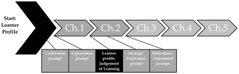 Assessing Efficiency of Prompts Based on Learner Characteristics