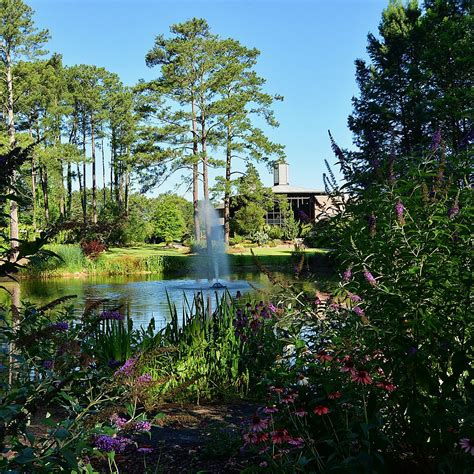 CAPE FEAR BOTANICAL GARDEN (Fayetteville): Ce qu'il faut savoir pour ...