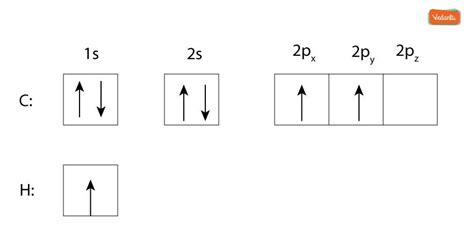 Image result for Hybridization Tutorials