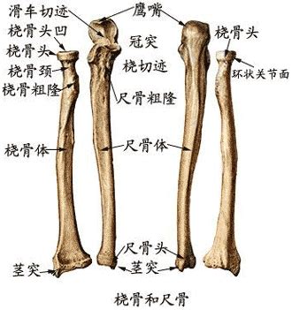 Image result for Difference in Difference Approach Example Diagram