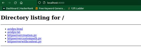 Python Basic Local Server 的图像结果