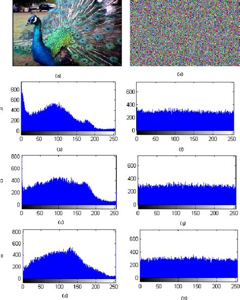 Image result for Encryption Image Using Chaos MATLAB Programme