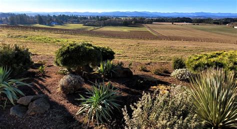 Anne Amie Vineyards writes a new chapter in its history – Here is ...