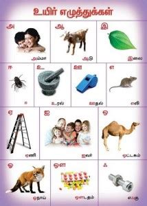 Alphabetical Chart in Tamil Paper Print - Educational posters in India ...