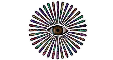 Image result for Focused Observation Examples