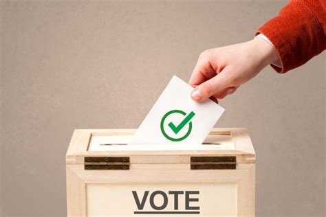 Image result for What Is Voting