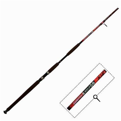 Buy Technical Fishing Rods Online|Catfish 300|Caperlan