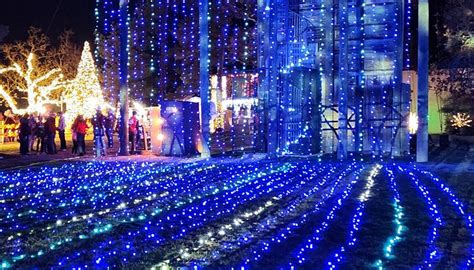 LONE STAR LIGHTS (2026) All You Need to Know BEFORE You Go (with Photos ...