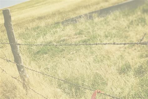 About Barbed Wire Books — Barbed Wire Books