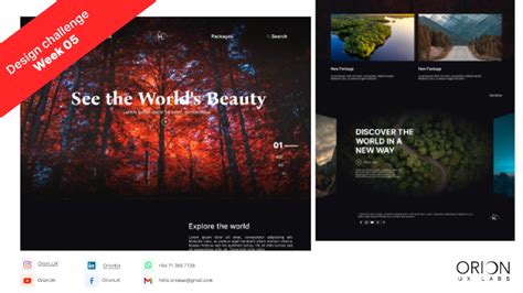Figma Design Challenge 的图像结果