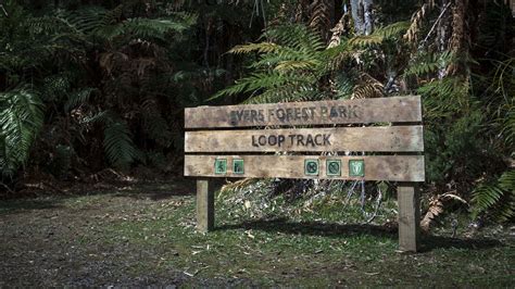 Image result for Loop Track Movie Review