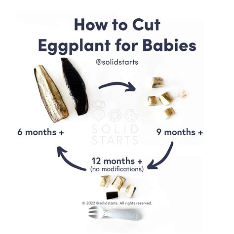 Eggplant for Babies - First Foods for Baby - Solid Starts