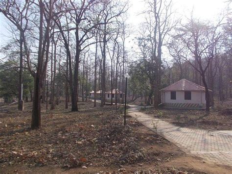 SEMADOH TOURIST COMPLEX (Amravati, Maharashtra) - Lodge Reviews ...