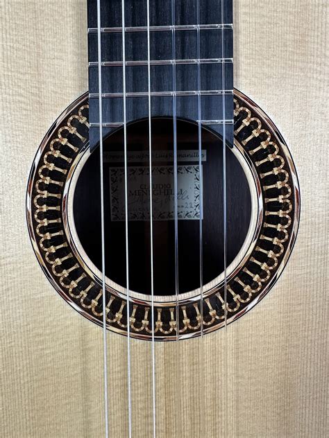 Image result for Steel String Classical Guitar
