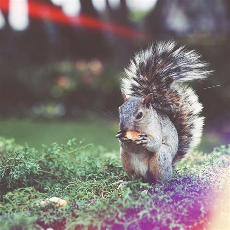 Image result for Post-Processing Unity Examples