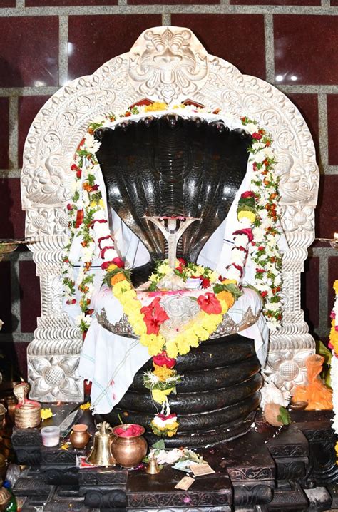 In Telangana's Nagoba Jatara, Hint of Change and Political Overtones ...