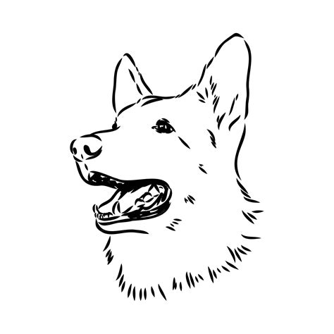Easy Drawings Of German Shepherds